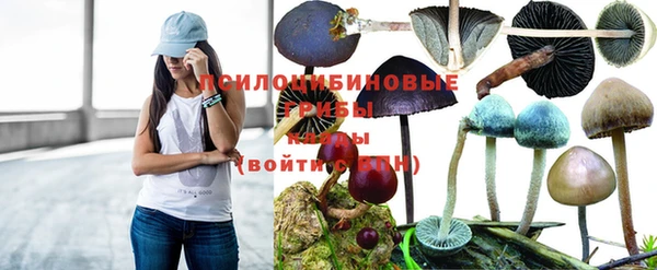 прущая мука Абдулино