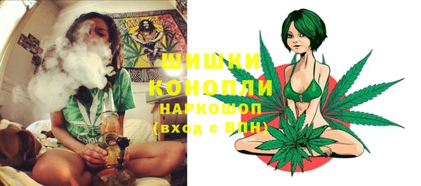 шишки Алексин